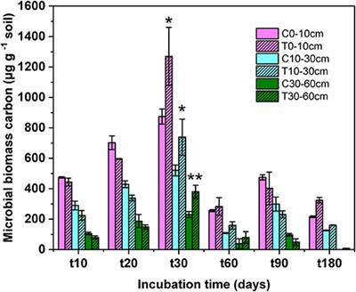 Effect of Litter-Derived Dissolved Organic Carbon Addition on Forest Soil Microbial Community Composition